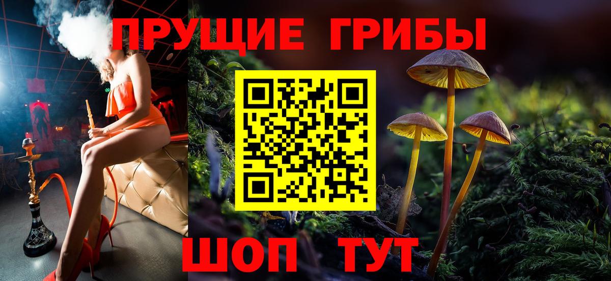 Галлюциногенные грибы Cubensis  Вход с VPN  Ртищево 